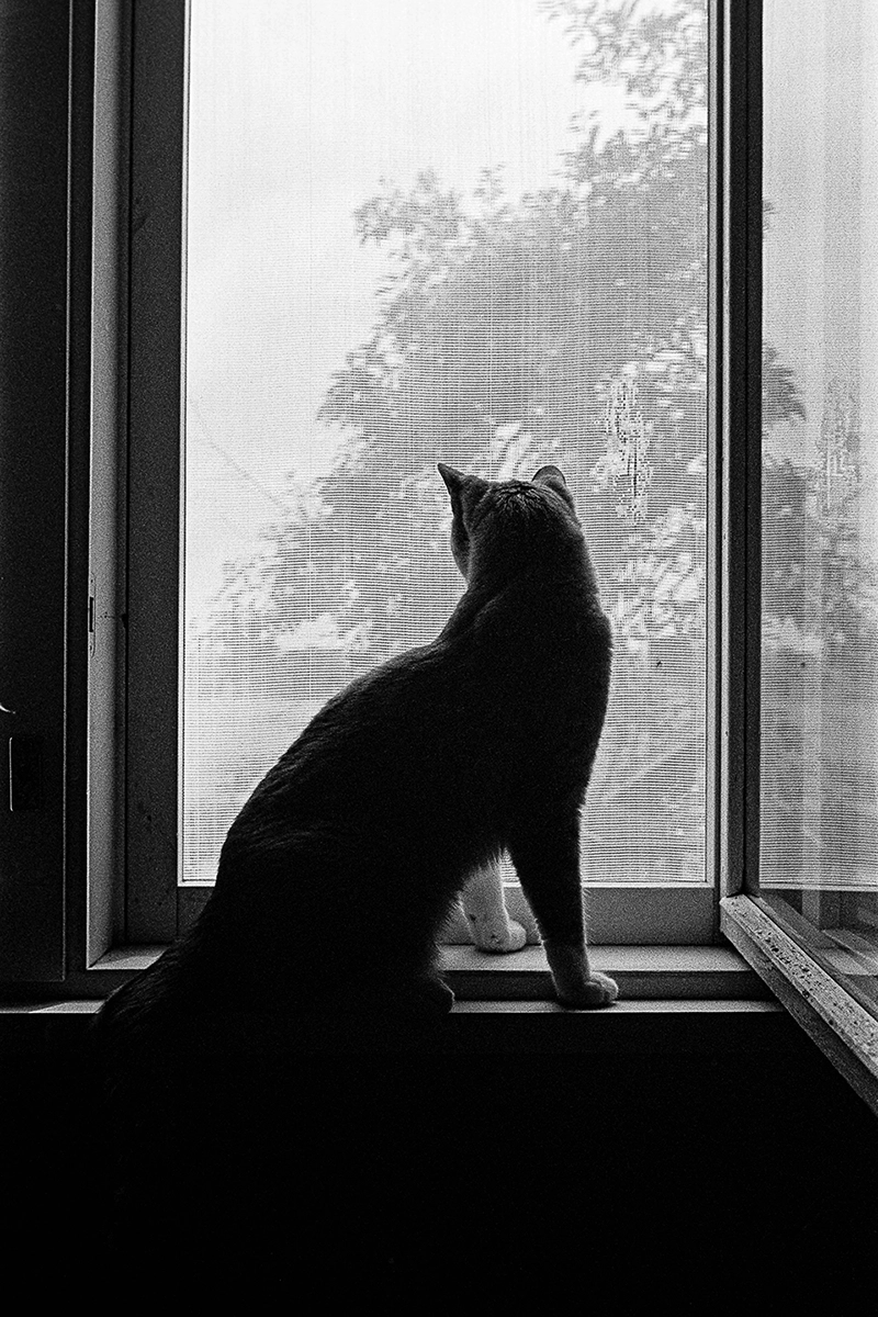 Black and white anlaog photograph of a woman eating a chocolate bar