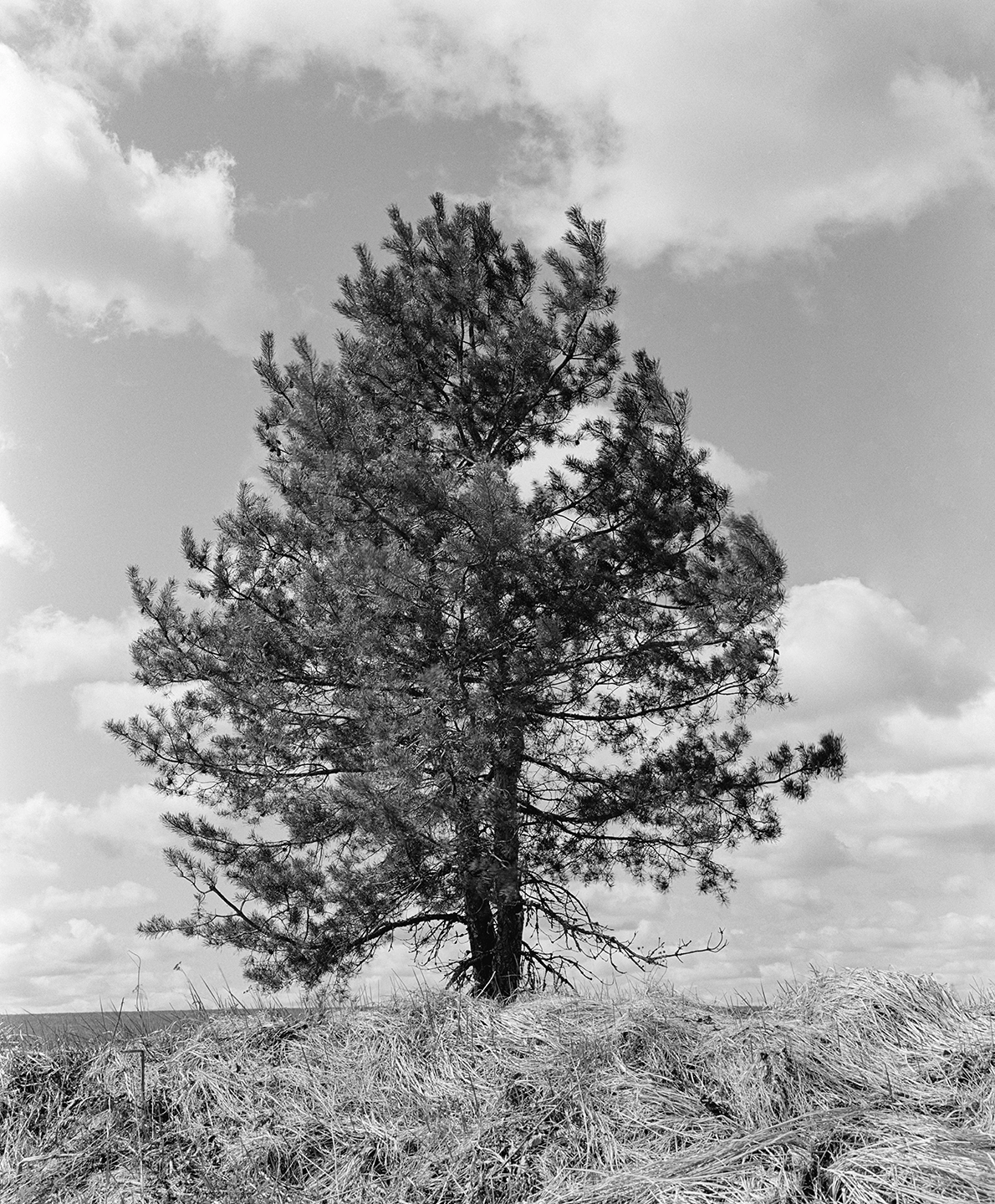 Black and white anlaog photograph of a woman eating a chocolate bar