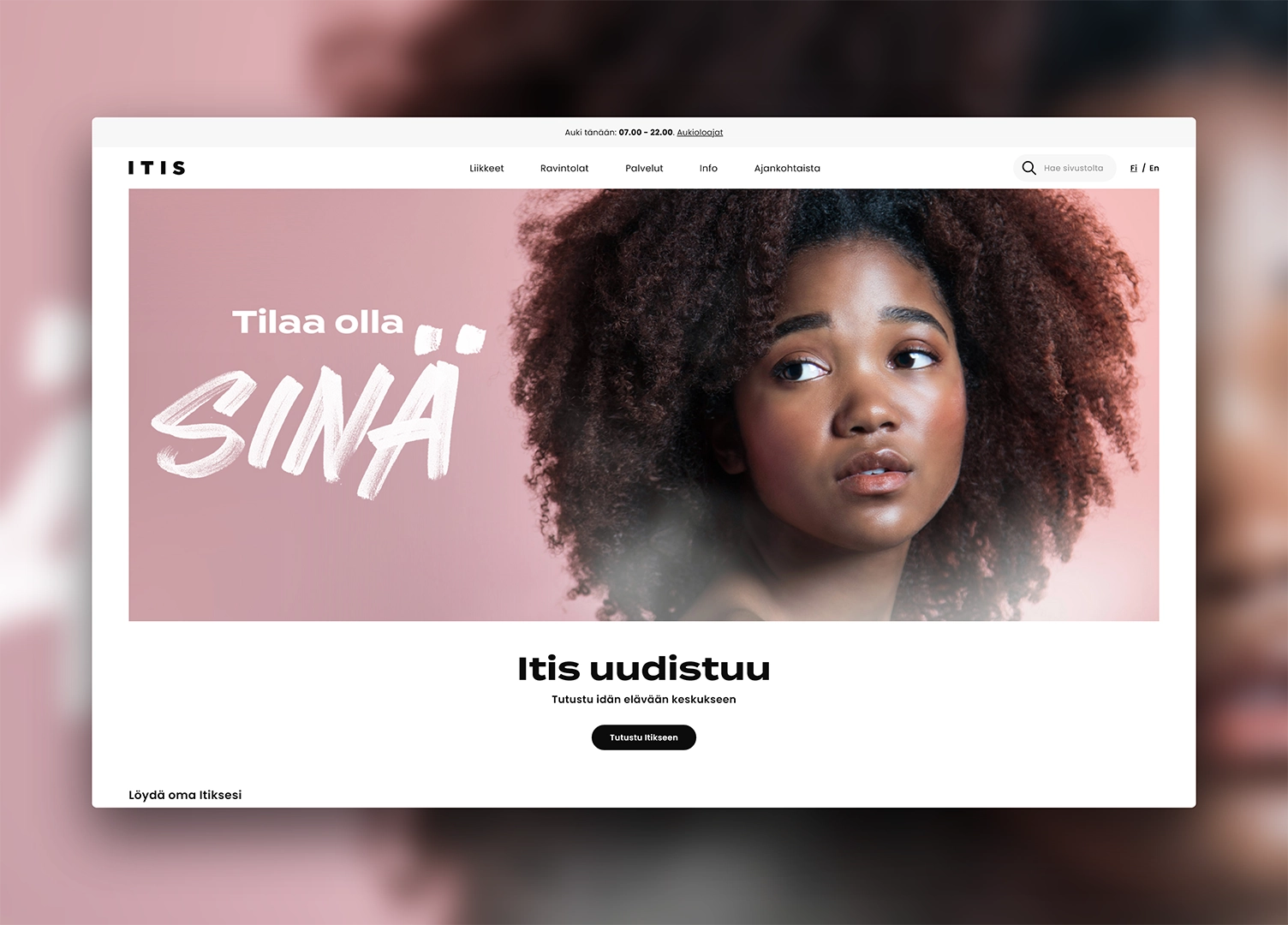 Layout of the Itis web page front page